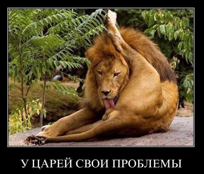 Виктория Пасечко ^_^ | Нижневартовск