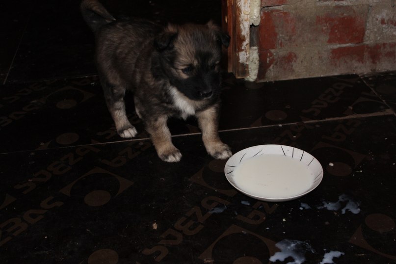 Александра Бессонова | Екатеринбург