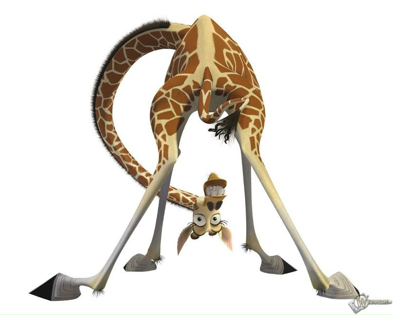 Афромария Баюсова | Димитровград