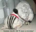 №6 Юлия Терешина : профиль, фото, статус - ВКонтакте №6 Юлия Терешина : профиль, фото, статус - ВКонтакте