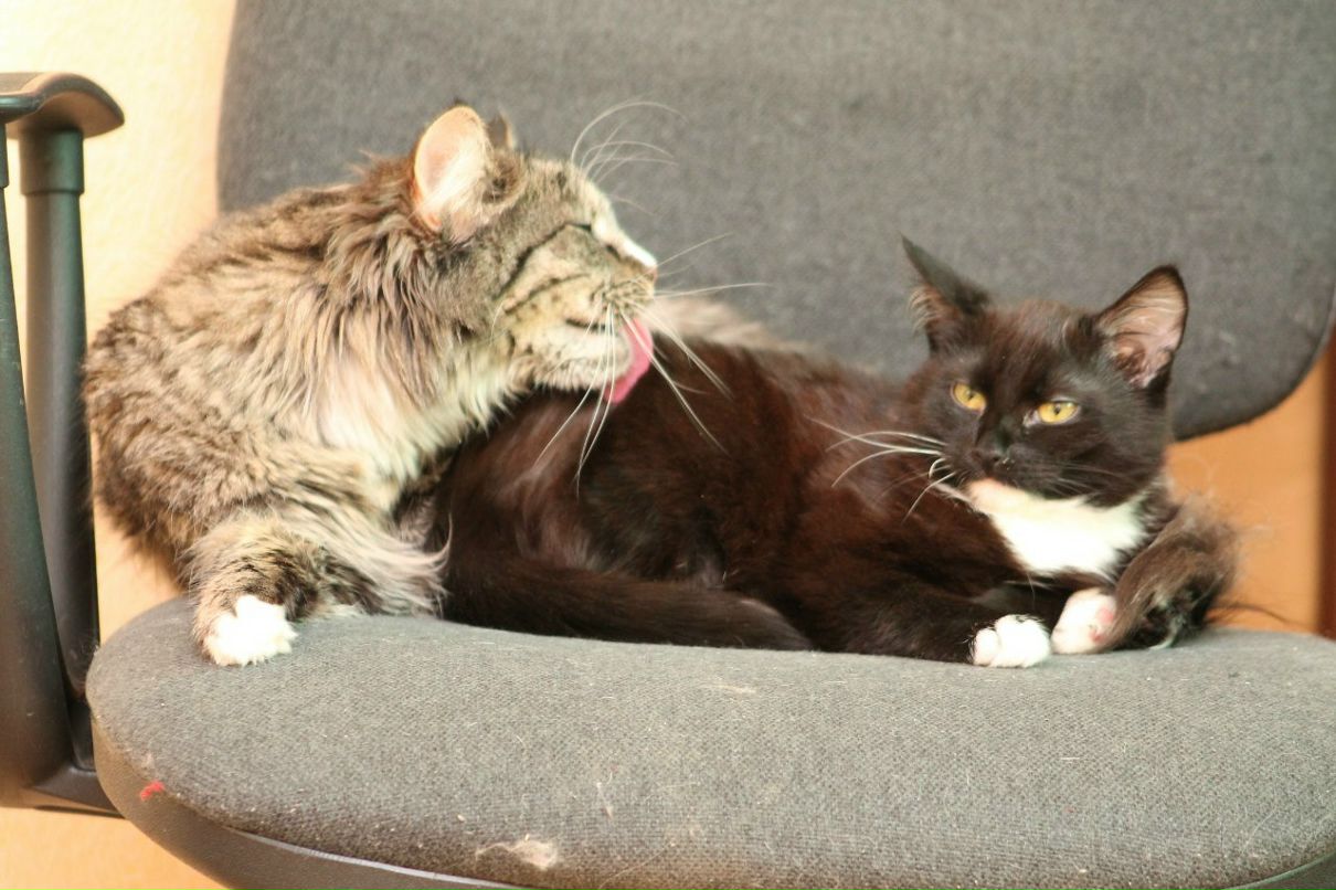 Мария Угрюмова | Санкт-Петербург