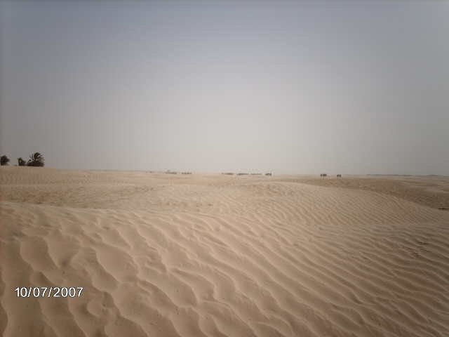 Алексей Щёголев | Пермь