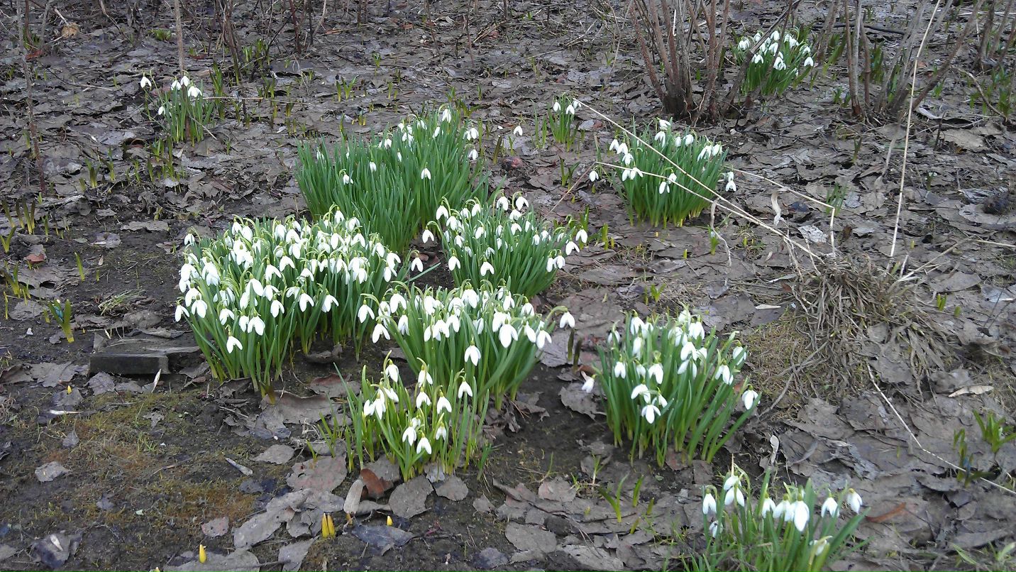 Сергей Голев | Мытищи