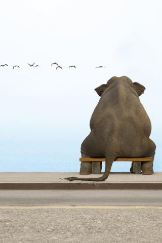 №11, Саня Гуменюк, 43 года, Одесса №11, Саня Гуменюк, 43 года, Одесса