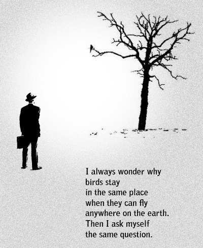 Светлана Качуровская | Воронеж