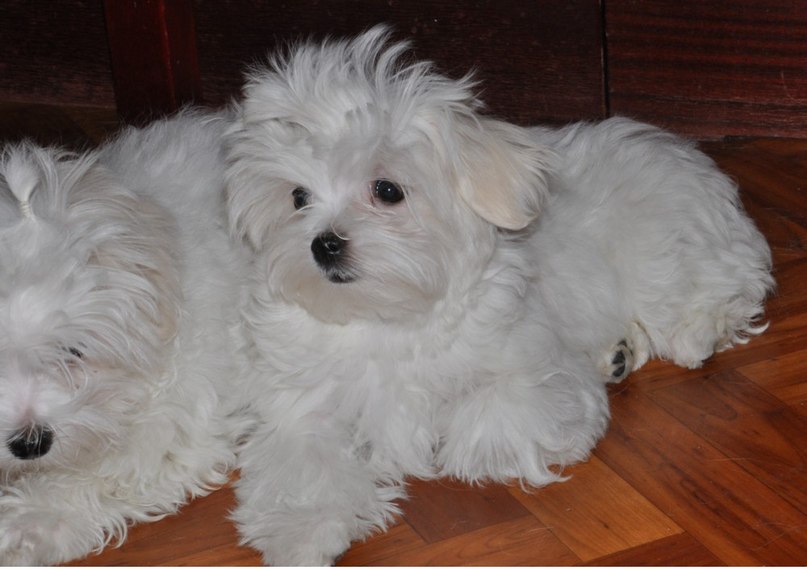 Марина Лазарева | Москва