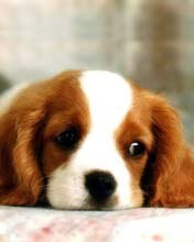 Настюша Макарова | Усть-Кут