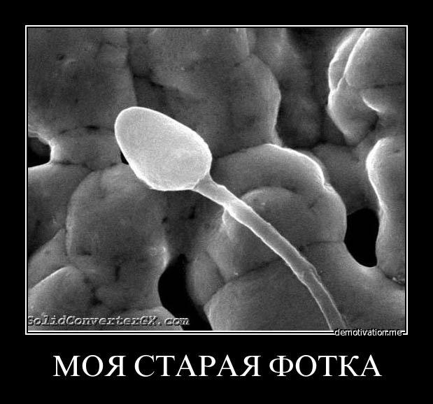 Артем Корнев | Чернянка