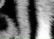 Александр Лукин | Санкт-Петербург