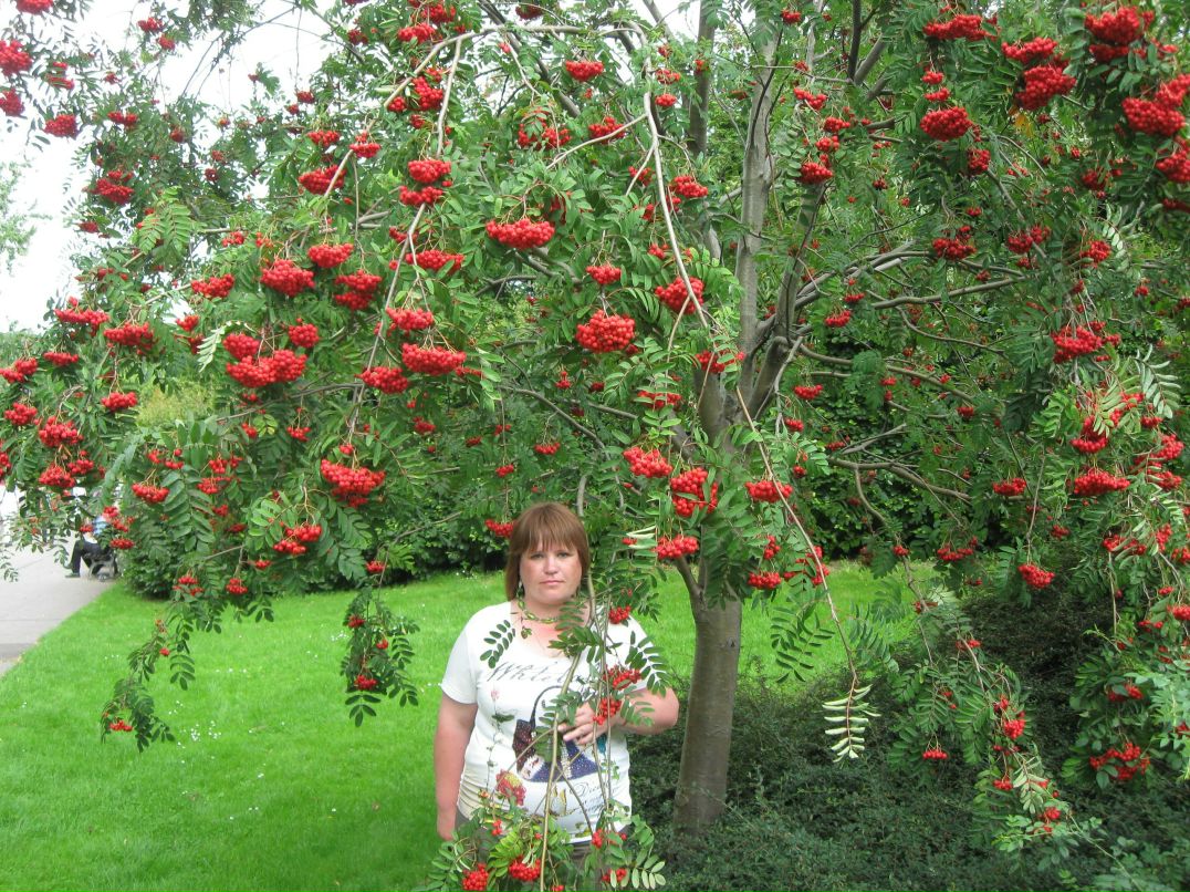 Елена Кашицына | Новосибирск