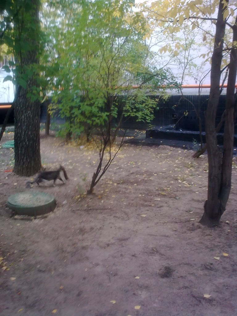 Валерий Валерьевич | Москва