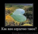 №8 Лариса Сайфуллина