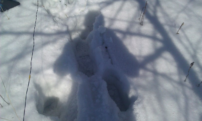 Гв Палкин | Урюпинск