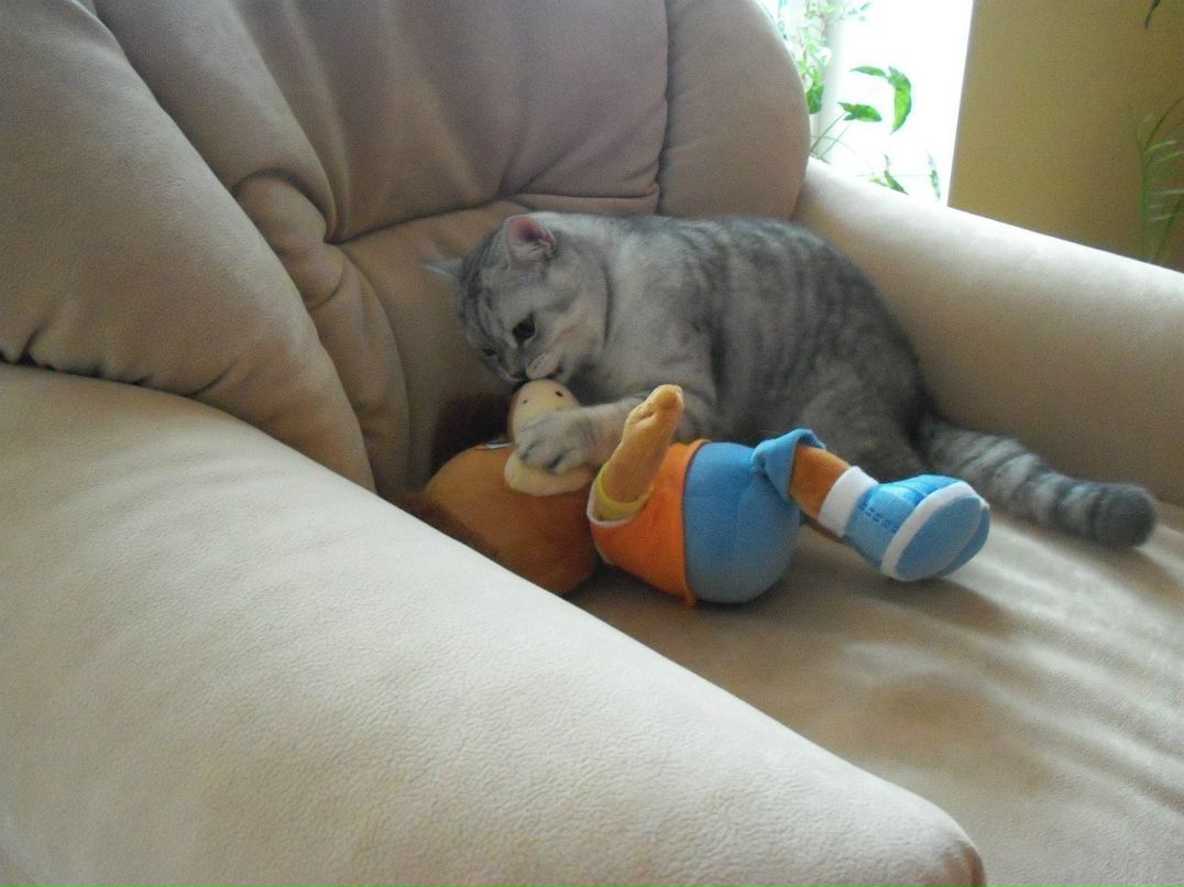 Оксана Алимова | Северск