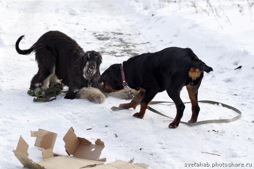 Лера Мухамедзянова | 