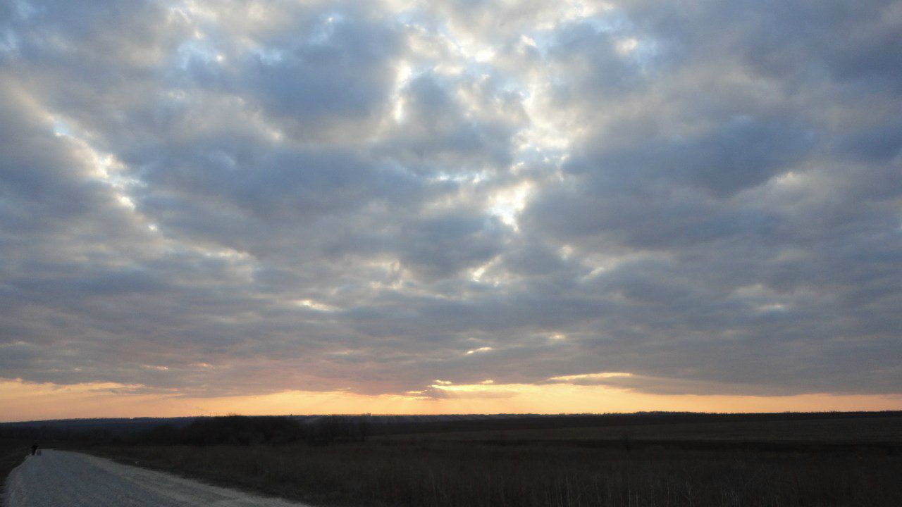 Виталий Волович | Запорожье