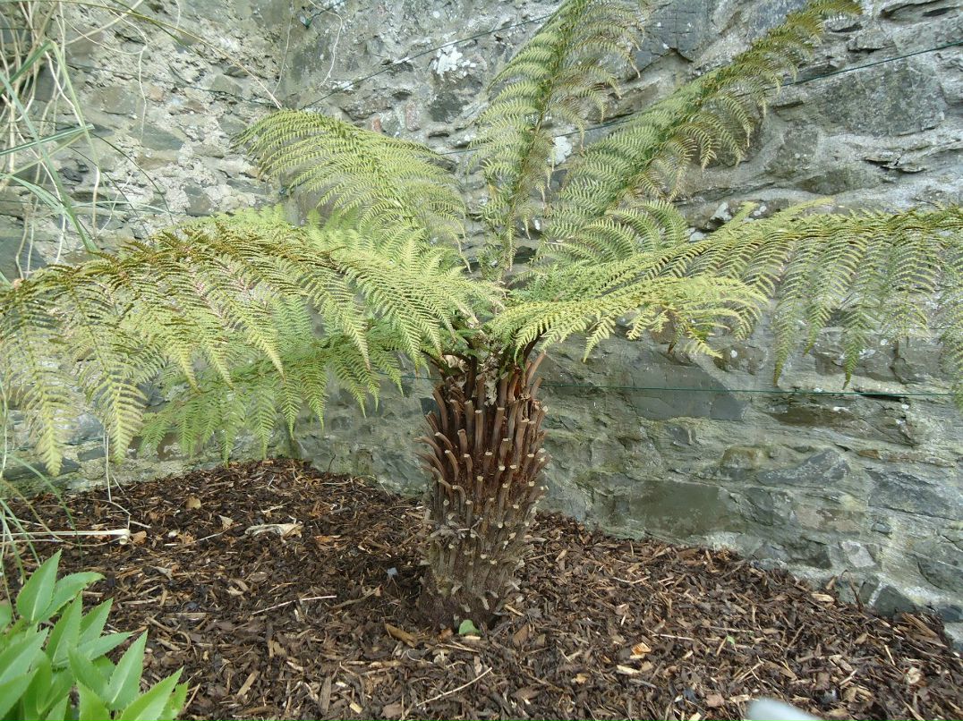 Алексей Пронин student | Минск
