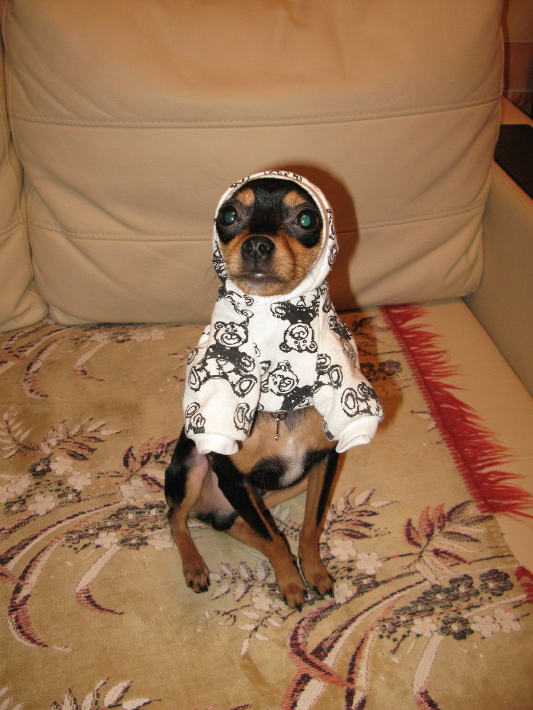 Таисия Певчих | 