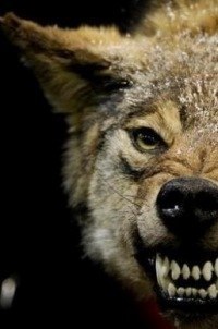 Руслан Терроров ✖ | 