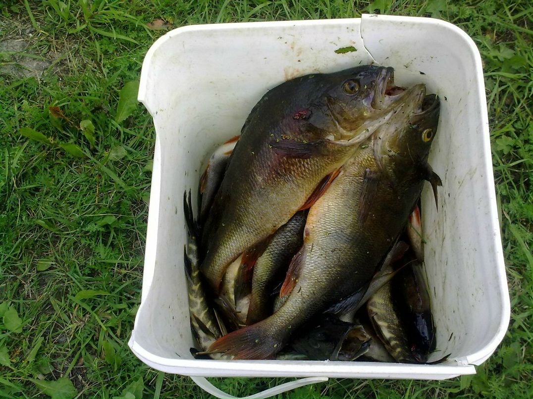 Антон Евсюков | Петрозаводск