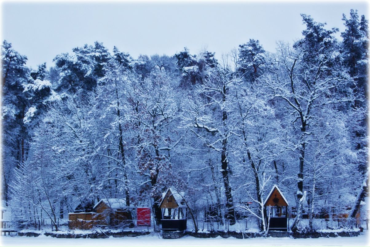 Надія Северина ♪ | Киев