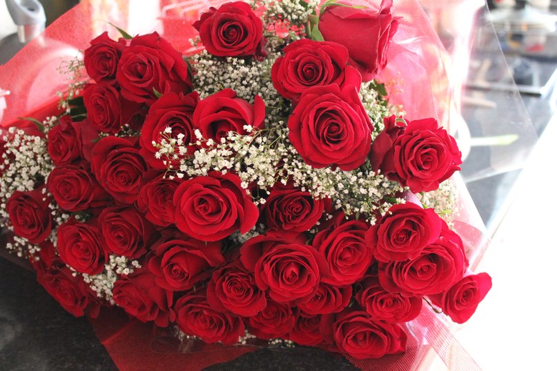 Дарья Оленцова | Вологда