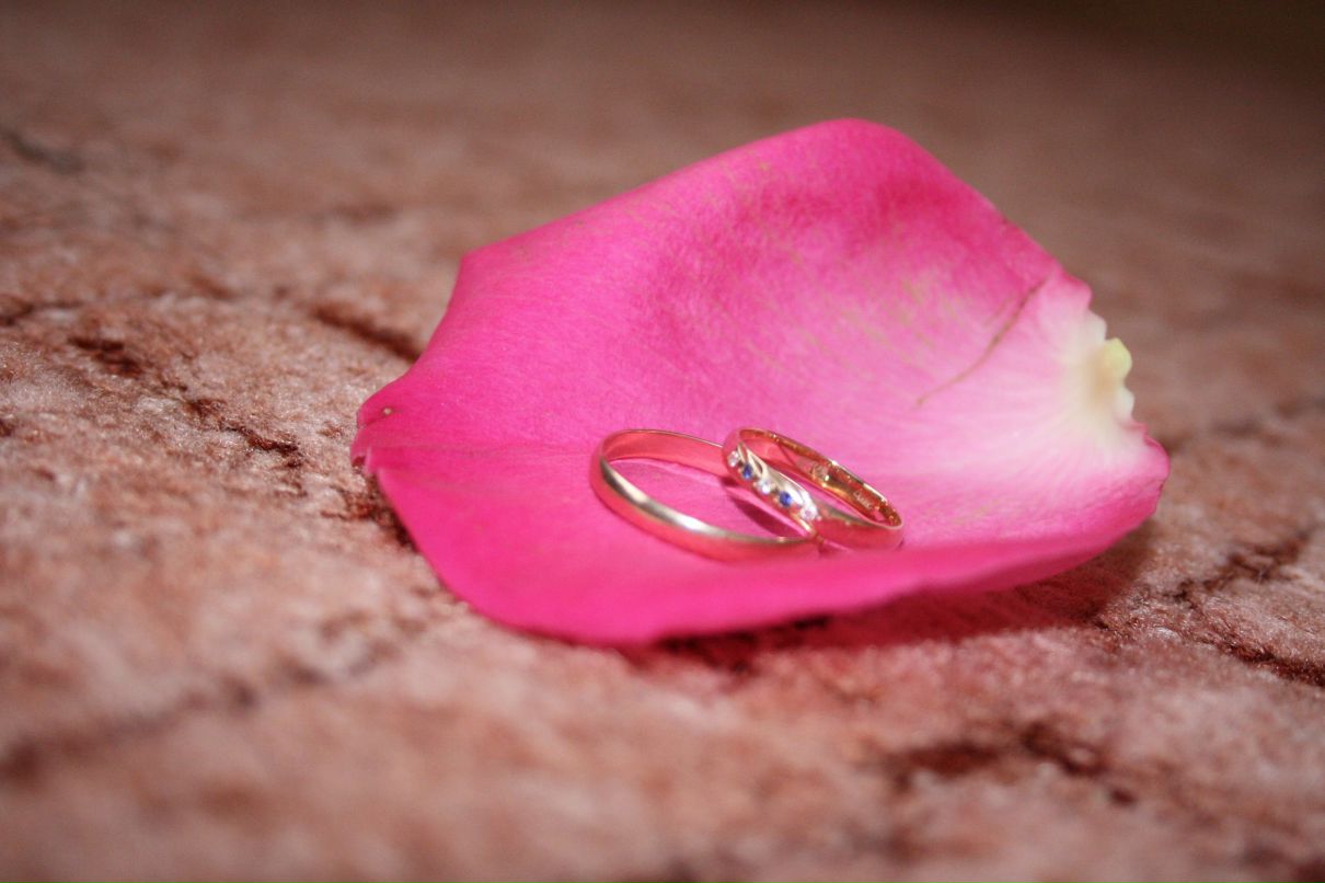 Елена Панченко | Курск