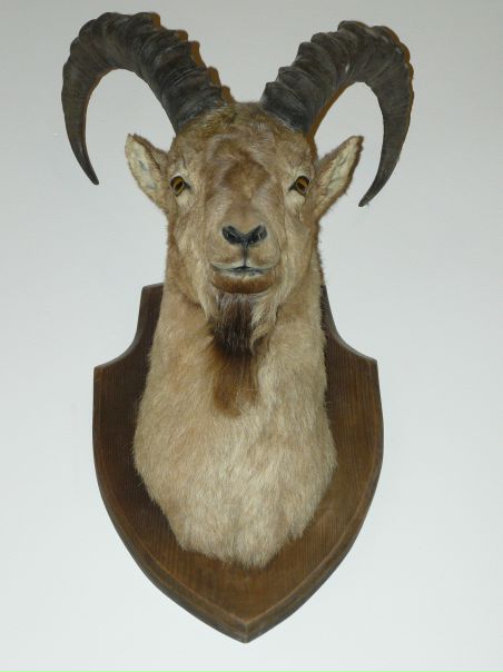 №104, Анатолий Тихонов, 17.12.1984, Новосибирск №104, Анатолий Тихонов, 17.12.1984, Новосибирск