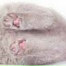 Илья Чистяков | Тутаев