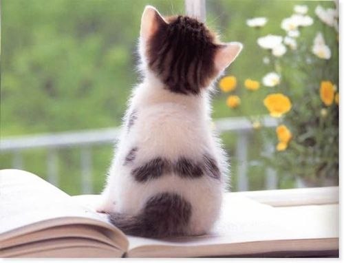 Валера Иванович | Санкт-Петербург