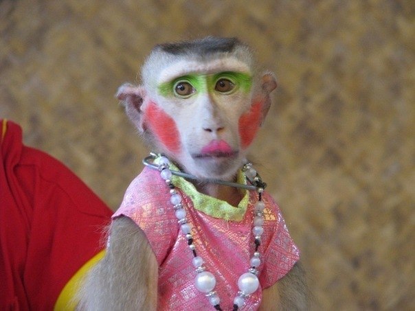 Светлана Бобылёва | Новокузнецк