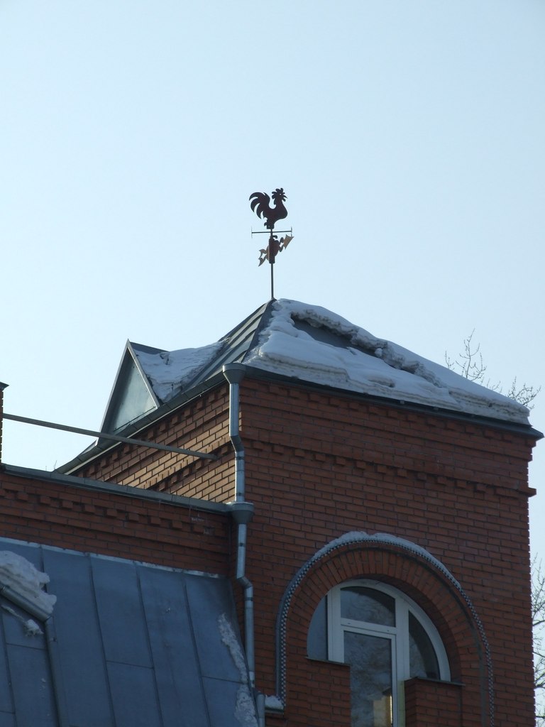 Антон Рожков Ботаник | Петрозаводск