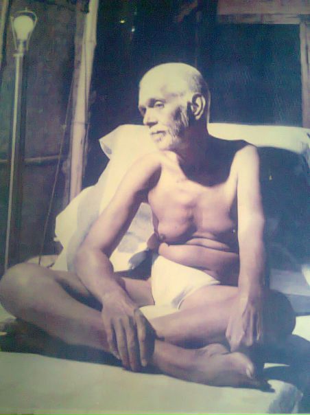 №42, Бамбу Вэй №42, Бамбу Вэй