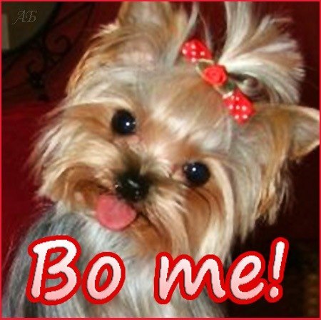 Виктория Сумкова | Москва