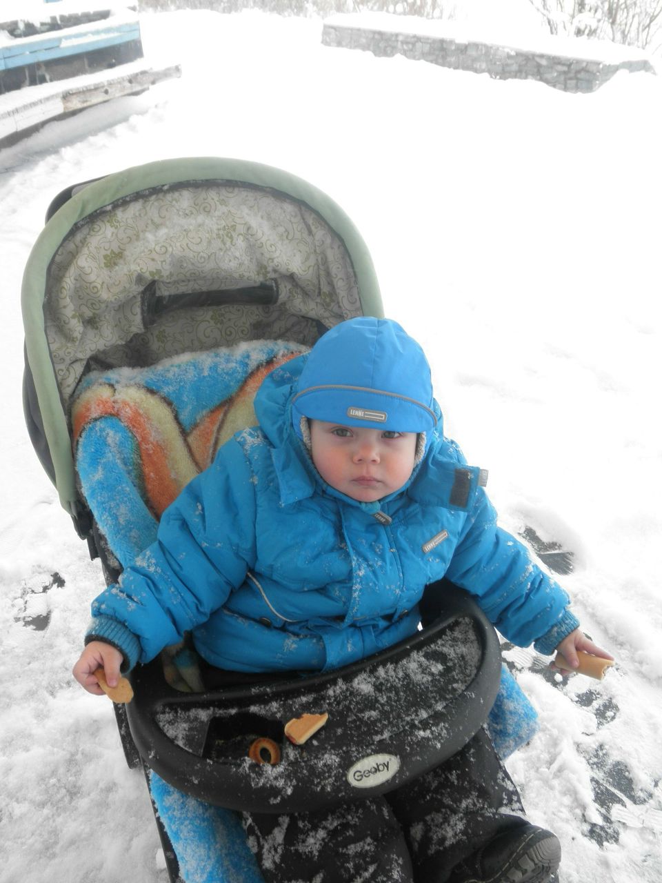 Александра Вовк | Запорожье