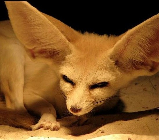 Макс Понятовский !!! Prokuror !!! | Москва