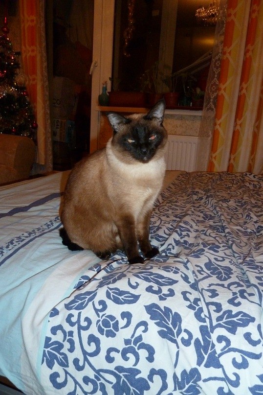 Светлана Любская | Санкт-Петербург