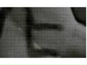 Андрей Филипповых | Запорожье