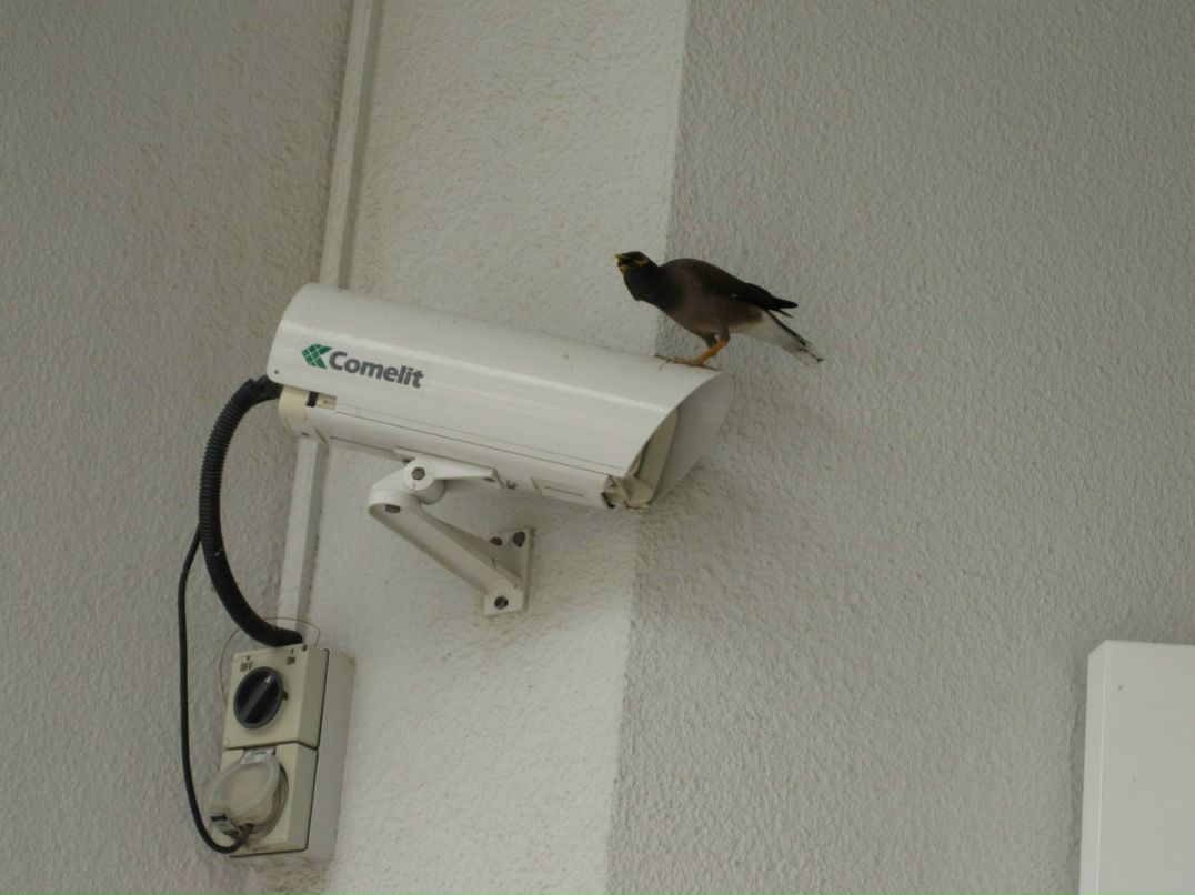 Болеслав Малиновский BolesLAB | Киев