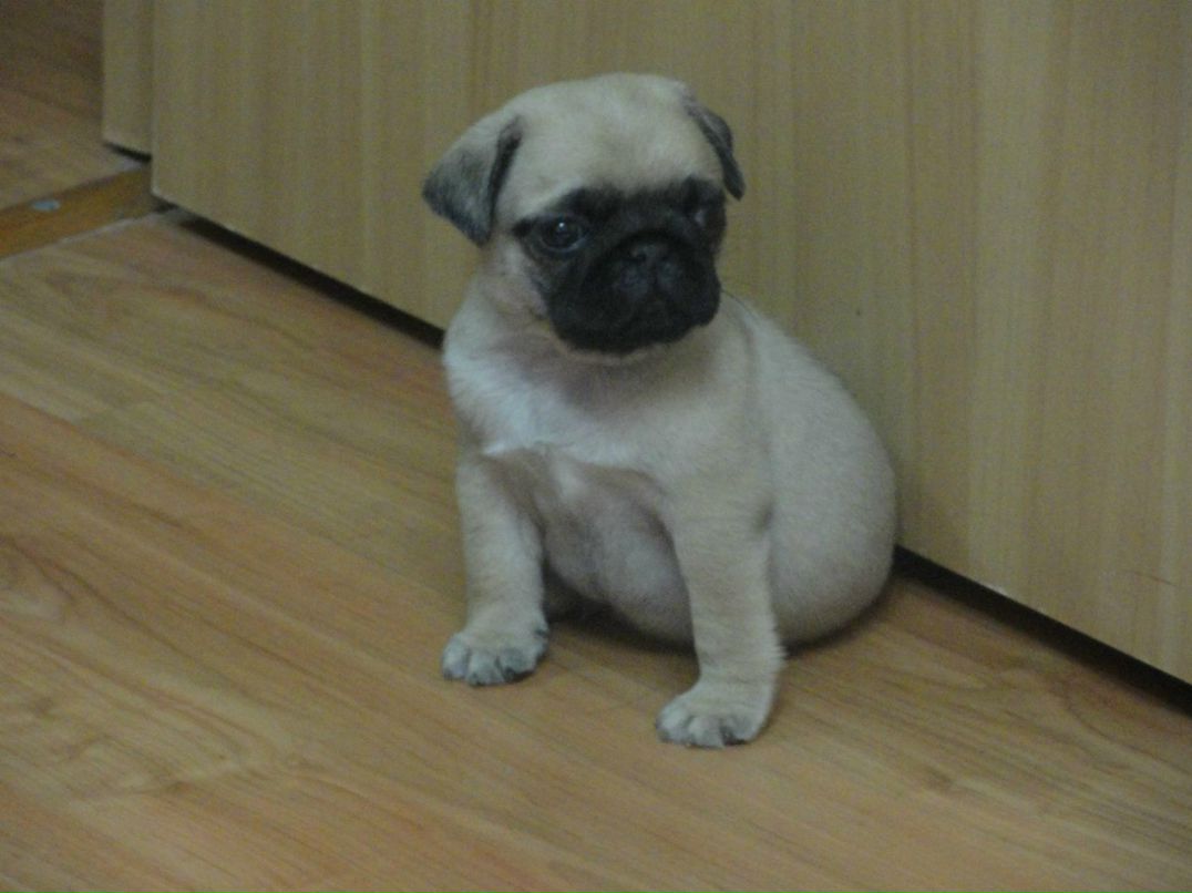 Ксения Заборова | Казань