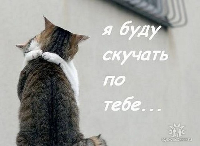 Анисия Бауэр (♥Скоро мне станет пох..на всё) | Запорожье