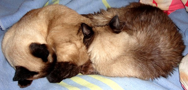 №21, Влад Нефор, 35 лет, Киев №21, Влад Нефор, 35 лет, Киев