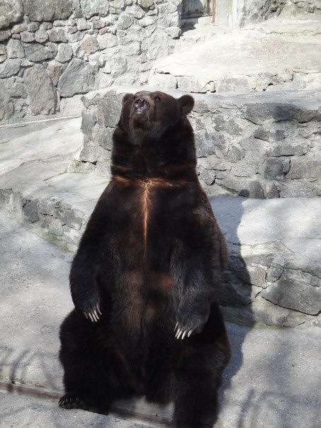 Татьяна Исакова | Херсон