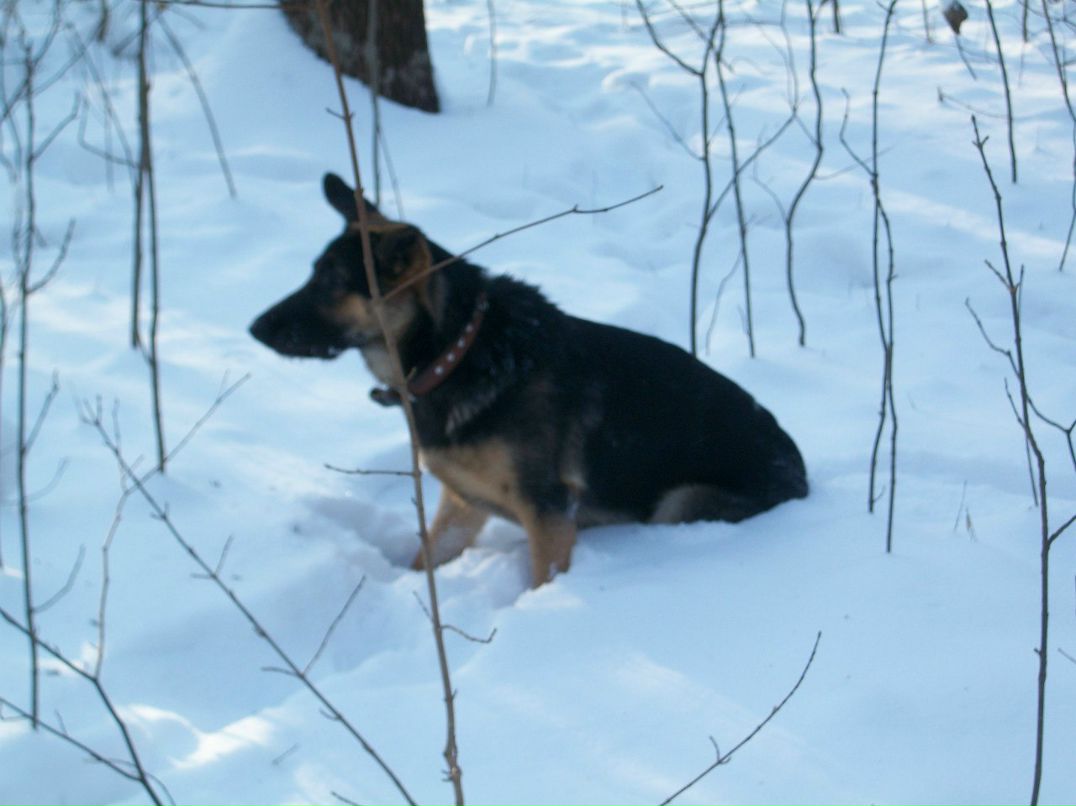 Зинаида Чернышова | Полтава