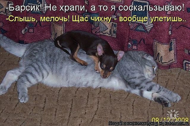 Александра Пронина | Севастополь