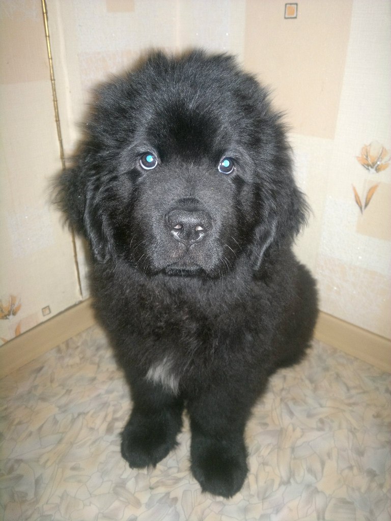 Андрей Краснопёров | Томск