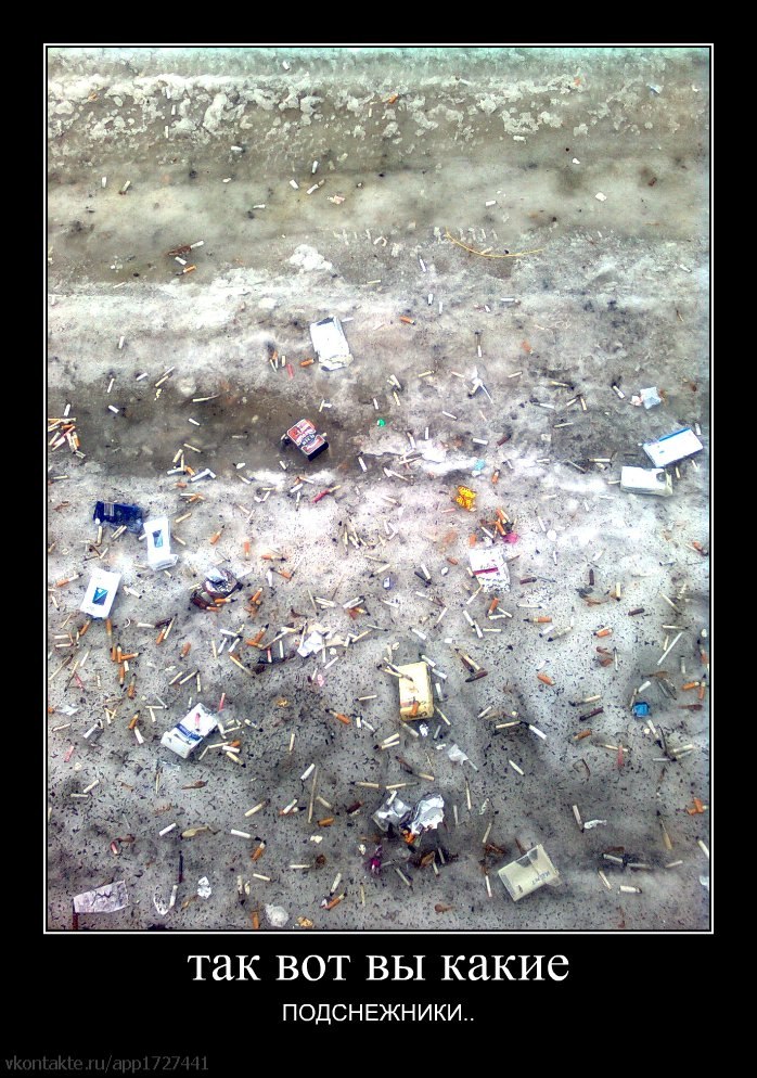 Анна Шибаева | Ярославль