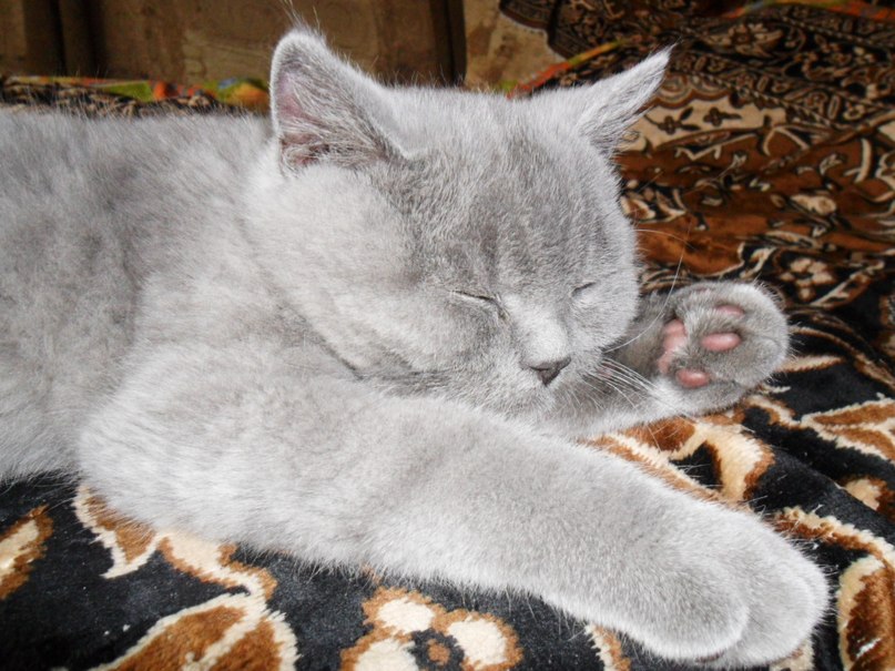 Лариса Потапова | Горишние Плавни / Комсомольск