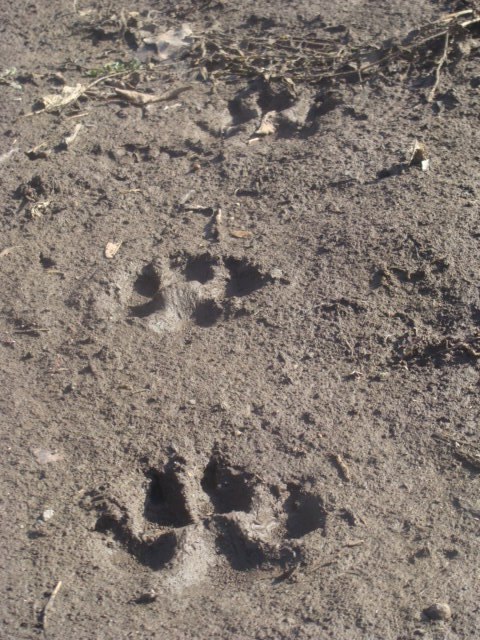 Анастасия Кусакина | Москва