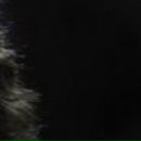 Евгений Четвериков | Запорожье